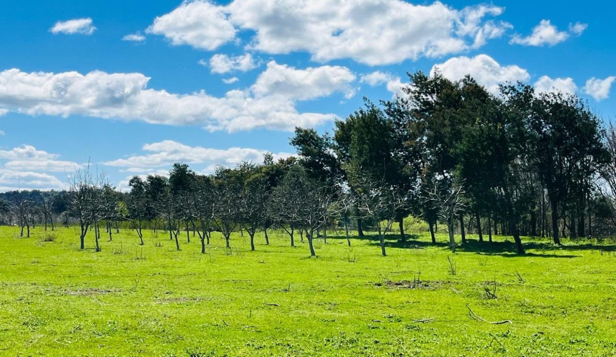 WhatsApp Image 2025-08-12 at 10.00.43 PM (1)