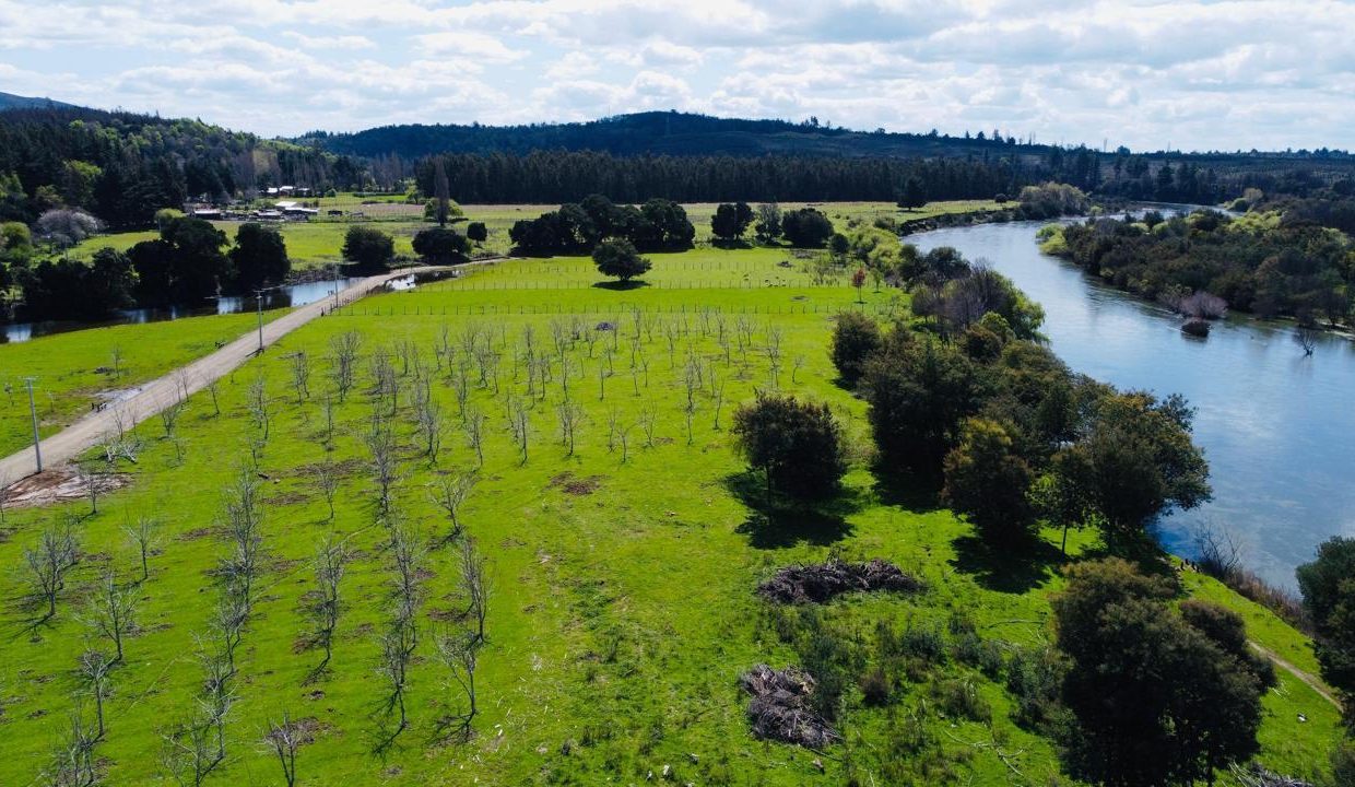 WhatsApp Image 2025-08-12 at 10.00.43 PM