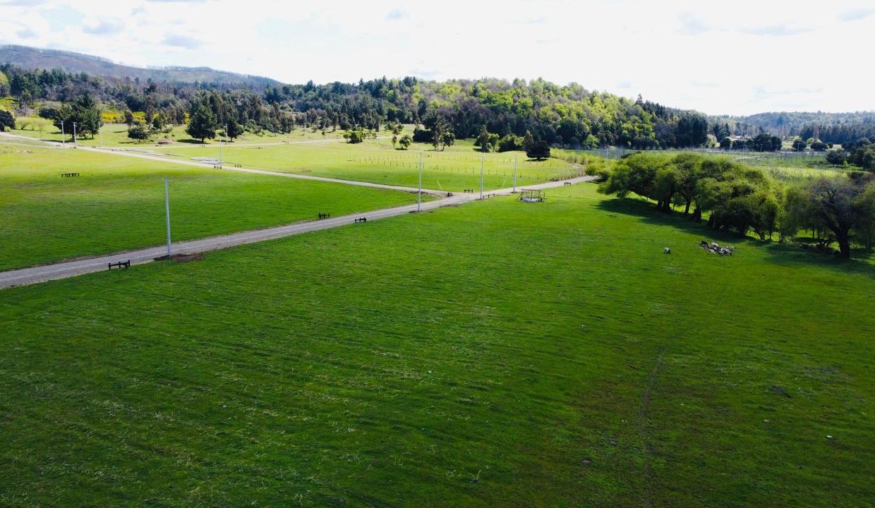 WhatsApp Image 2025-08-12 at 10.00.44 PM (1)