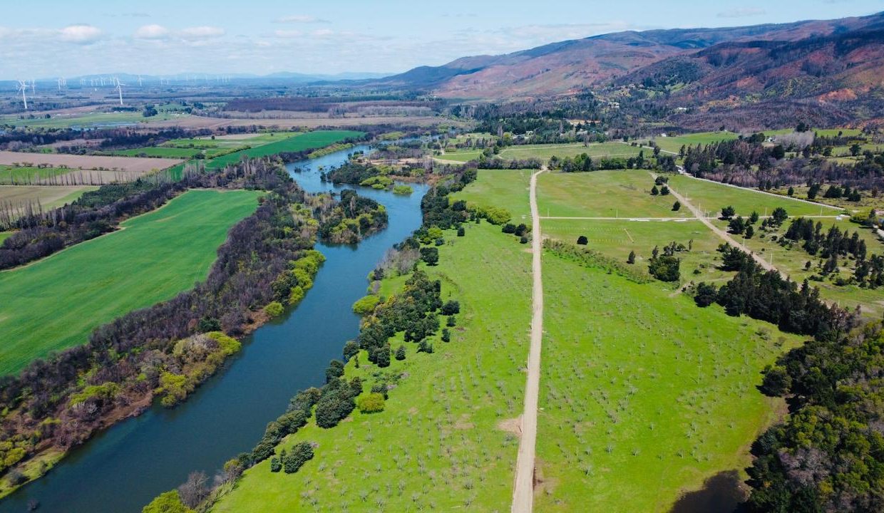 WhatsApp Image 2025-08-12 at 10.00.44 PM