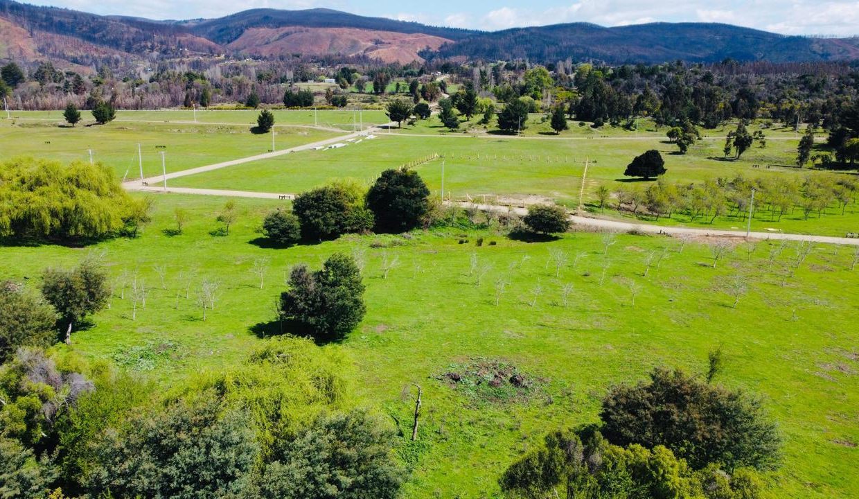 WhatsApp Image 2025-08-12 at 10.00.44 PM (2)