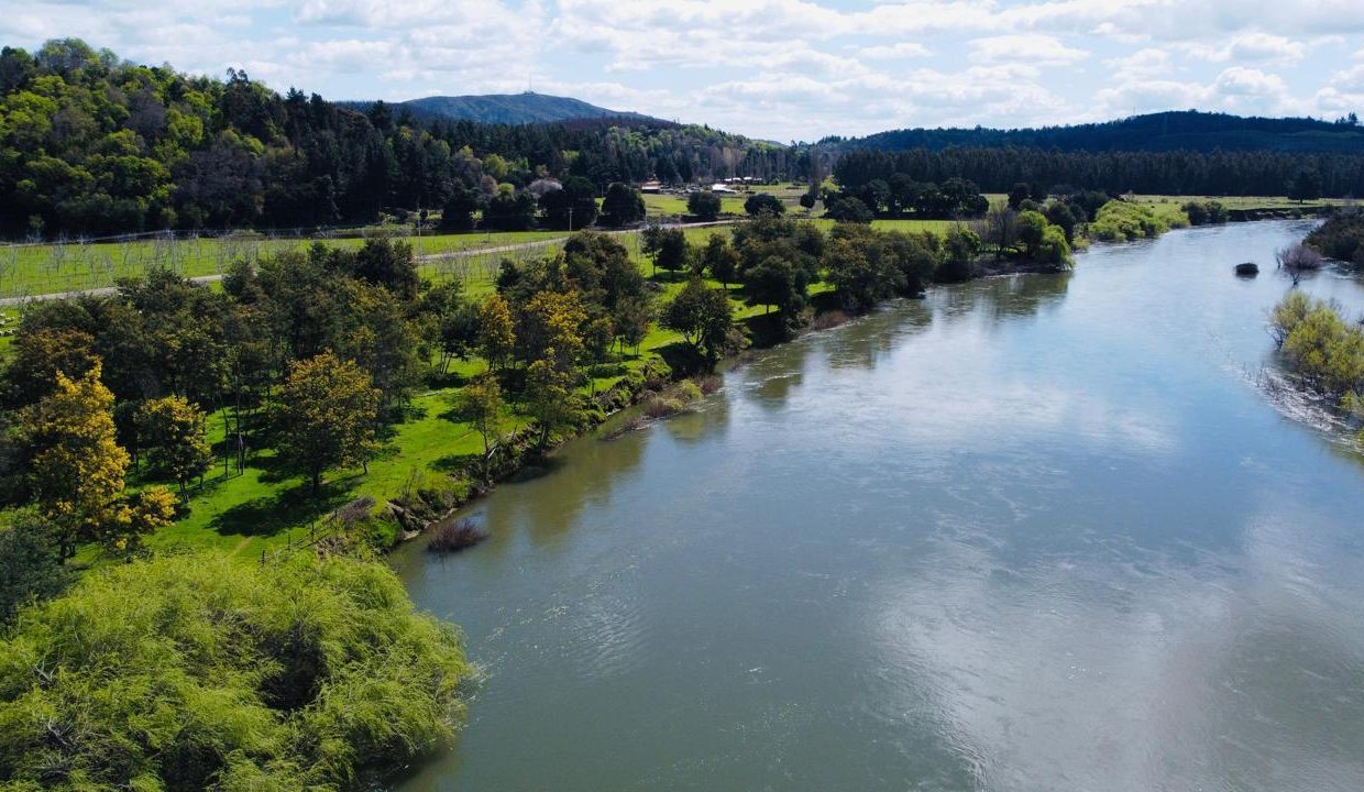 WhatsApp Image 2025-08-12 at 10.00.44 PM (3)