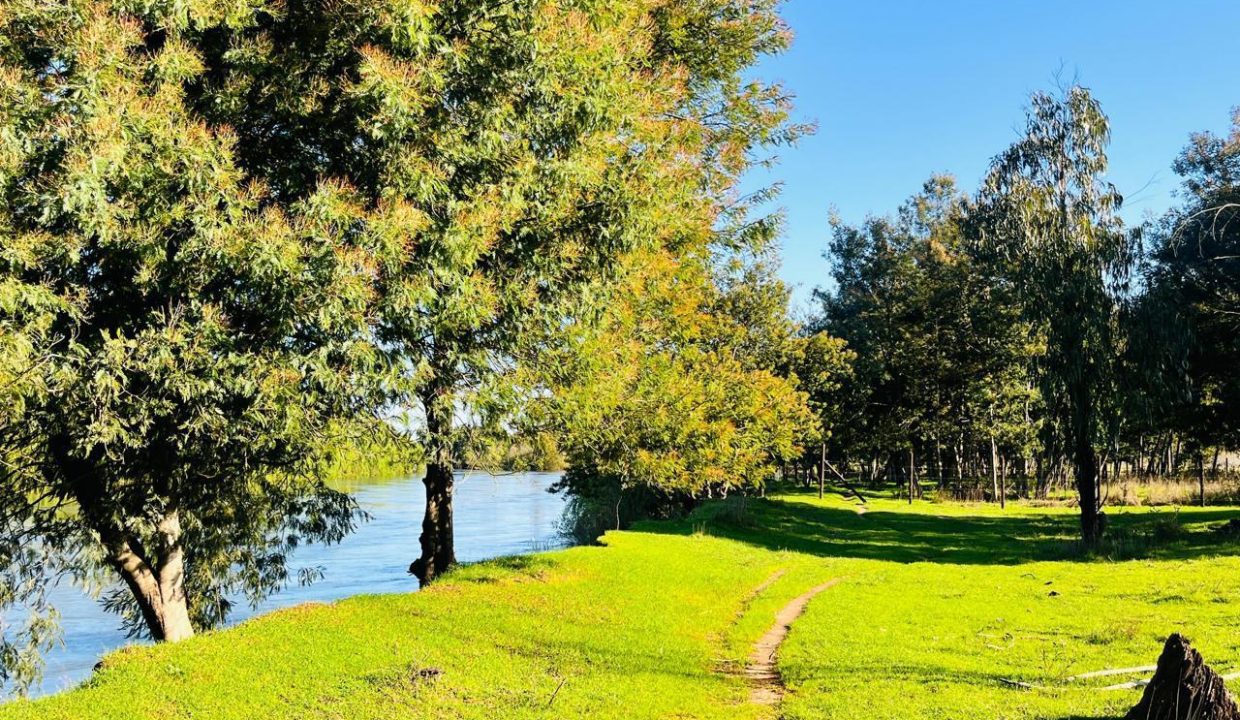 WhatsApp Image 2025-08-12 at 10.00.45 PM (1)