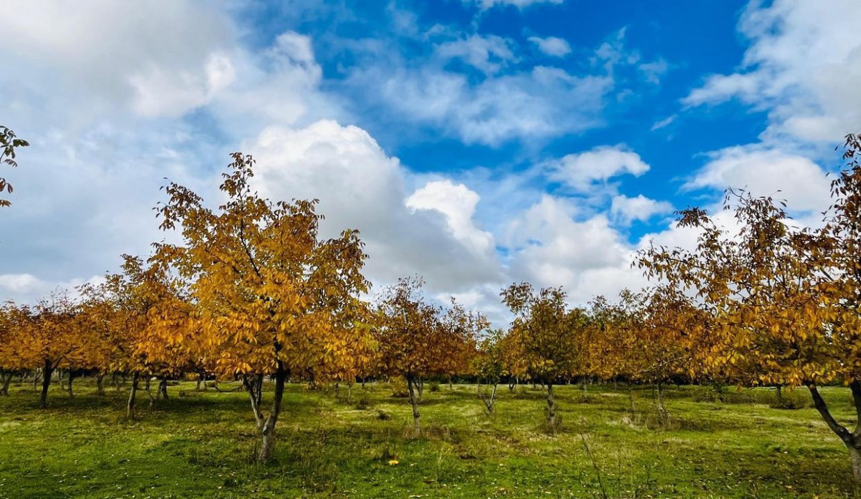 WhatsApp Image 2025-08-12 at 10.00.45 PM