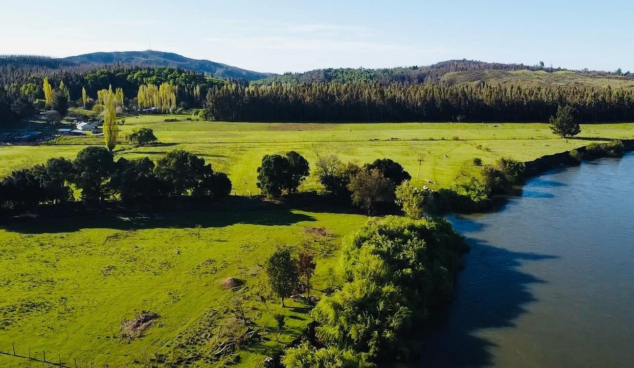 WhatsApp Image 2025-08-12 at 10.00.45 PM (2)