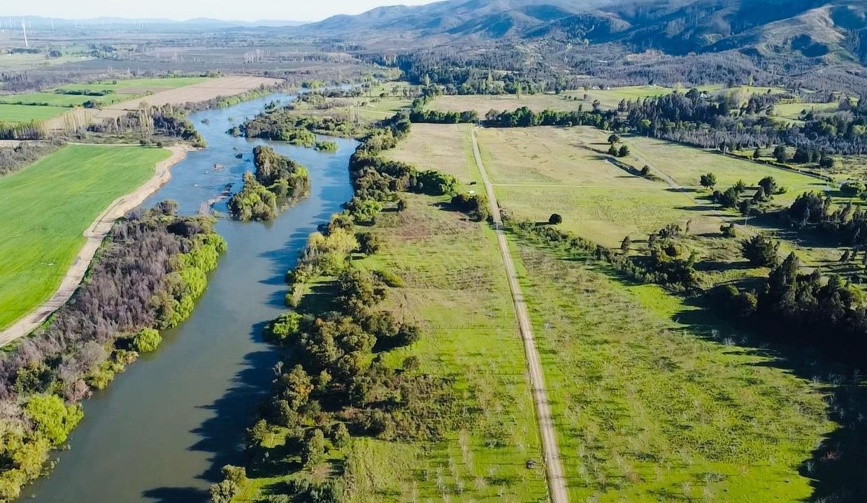 WhatsApp Image 2025-08-12 at 10.00.45 PM (3)