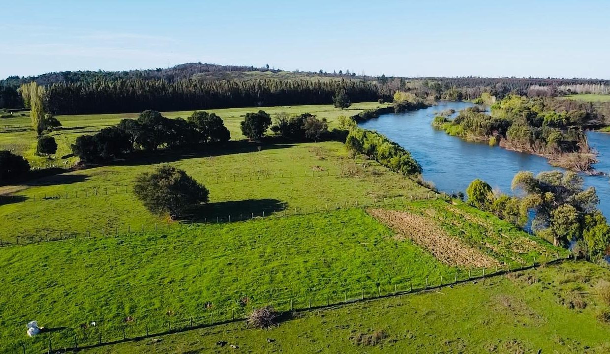 WhatsApp Image 2025-08-12 at 10.00.45 PM (4)